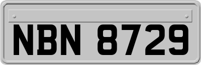 NBN8729