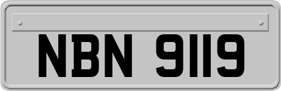 NBN9119