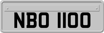 NBO1100