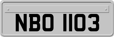 NBO1103