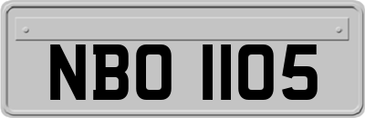 NBO1105