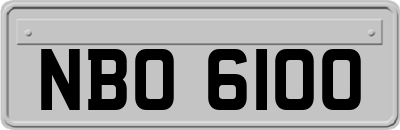 NBO6100