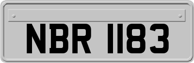 NBR1183