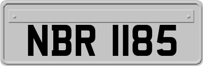 NBR1185