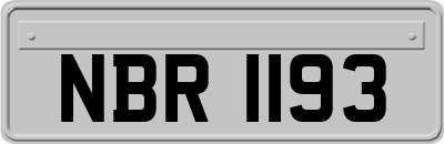 NBR1193
