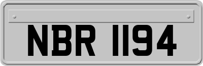 NBR1194