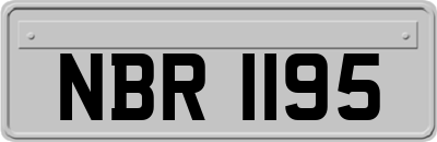 NBR1195