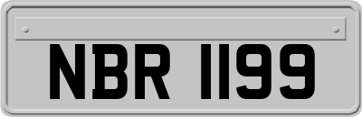 NBR1199