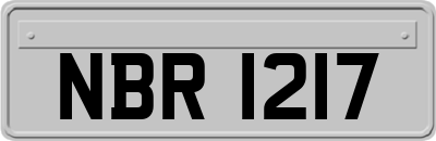 NBR1217