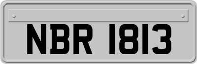 NBR1813