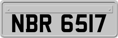 NBR6517