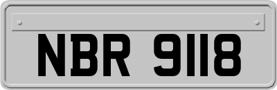 NBR9118