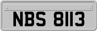 NBS8113