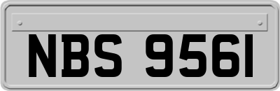 NBS9561