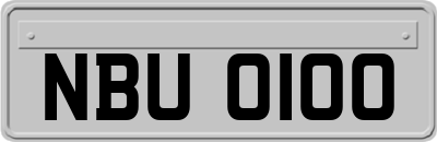 NBU0100