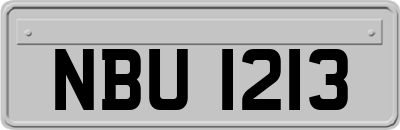NBU1213
