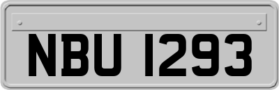 NBU1293