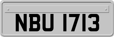NBU1713