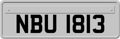 NBU1813