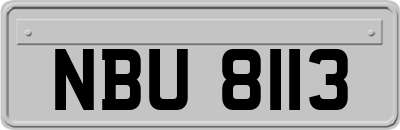 NBU8113