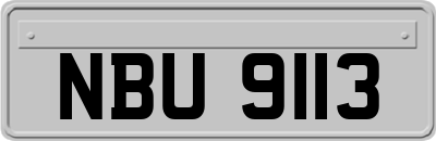 NBU9113