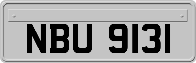 NBU9131
