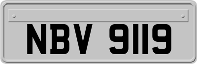NBV9119