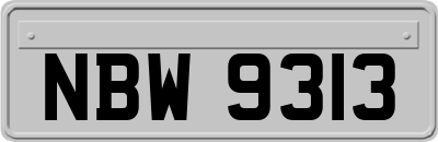 NBW9313