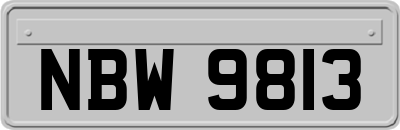 NBW9813