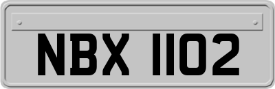 NBX1102