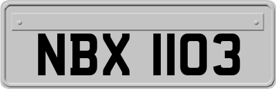 NBX1103