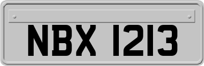 NBX1213