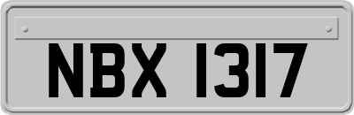NBX1317