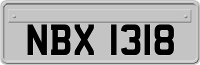 NBX1318