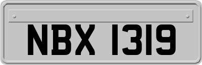 NBX1319