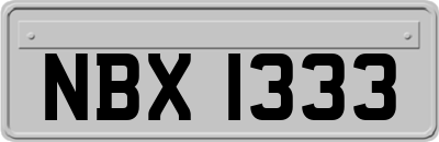 NBX1333