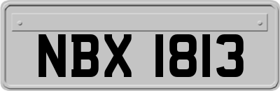 NBX1813