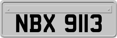 NBX9113