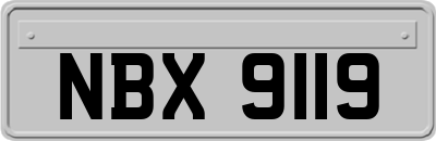 NBX9119