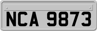 NCA9873