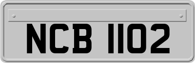 NCB1102