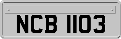 NCB1103