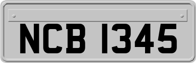 NCB1345