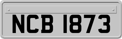 NCB1873