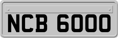 NCB6000