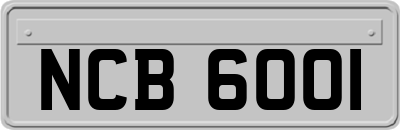 NCB6001