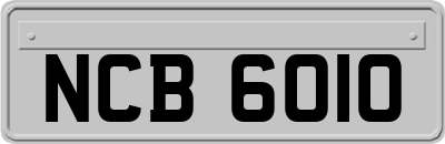 NCB6010