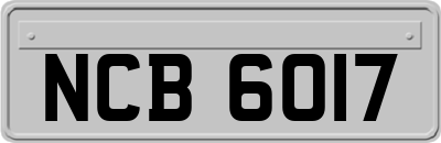 NCB6017