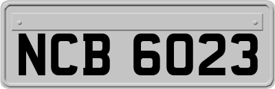 NCB6023