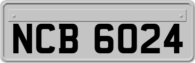 NCB6024